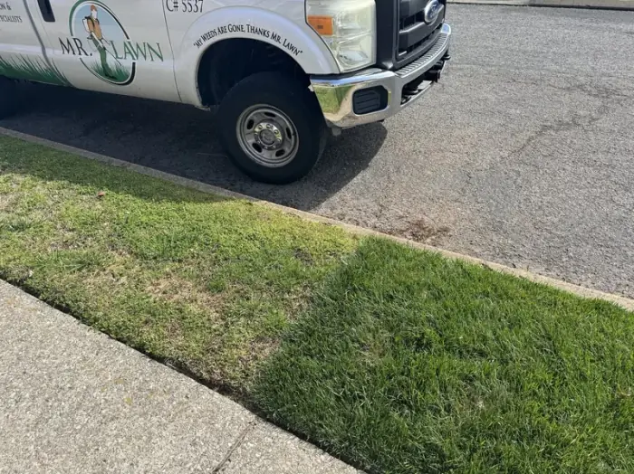 Precision lawn treatment comparison showing Mr. Lawn Care results vs untreated lawn in Middle Tennessee