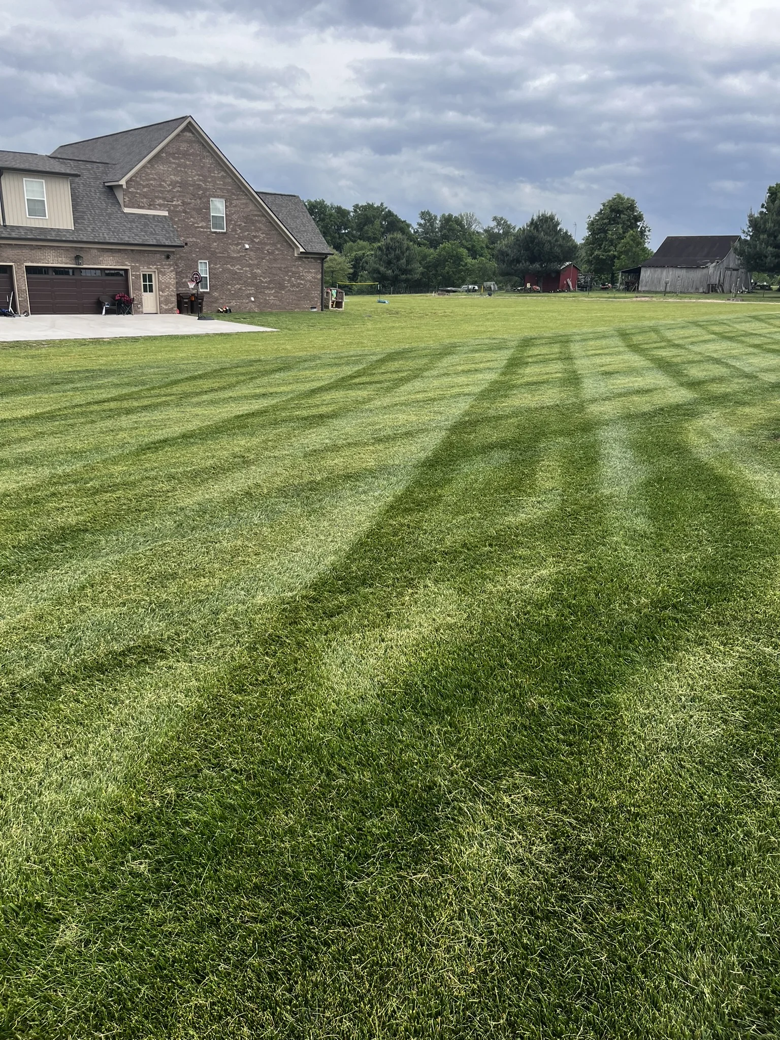 A Beautiful Fescue Lawn with Well Defined Stripes — Mr. Lawn Care, Middle Tennessee lawn treatment