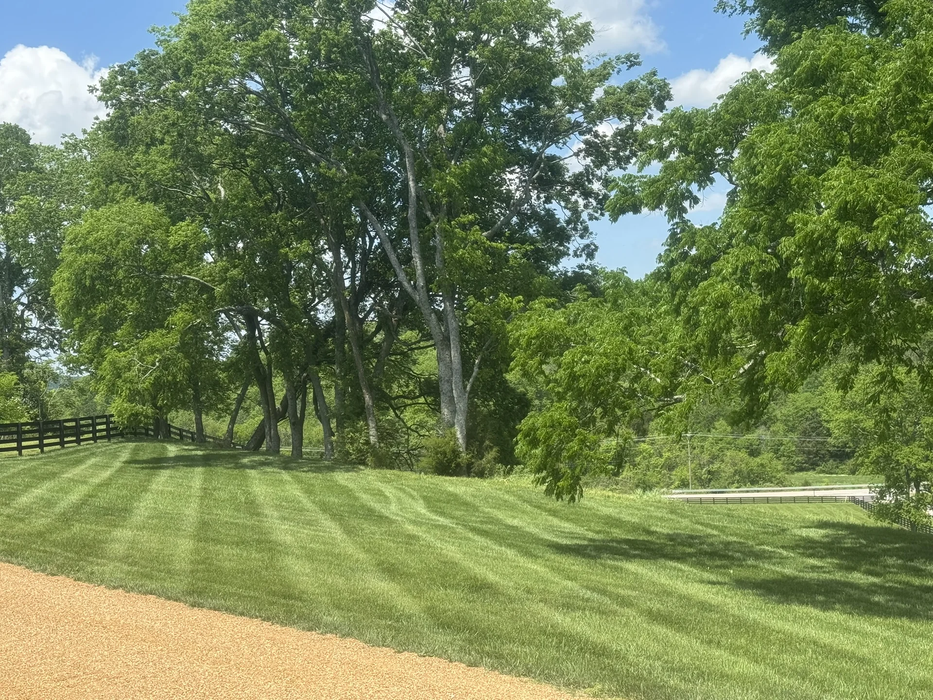 Another Beautiful Fescue Lawn with a Peat Gravel Drive and Mowing Stripes — Mr. Lawn Care, Middle Tennessee lawn treatment