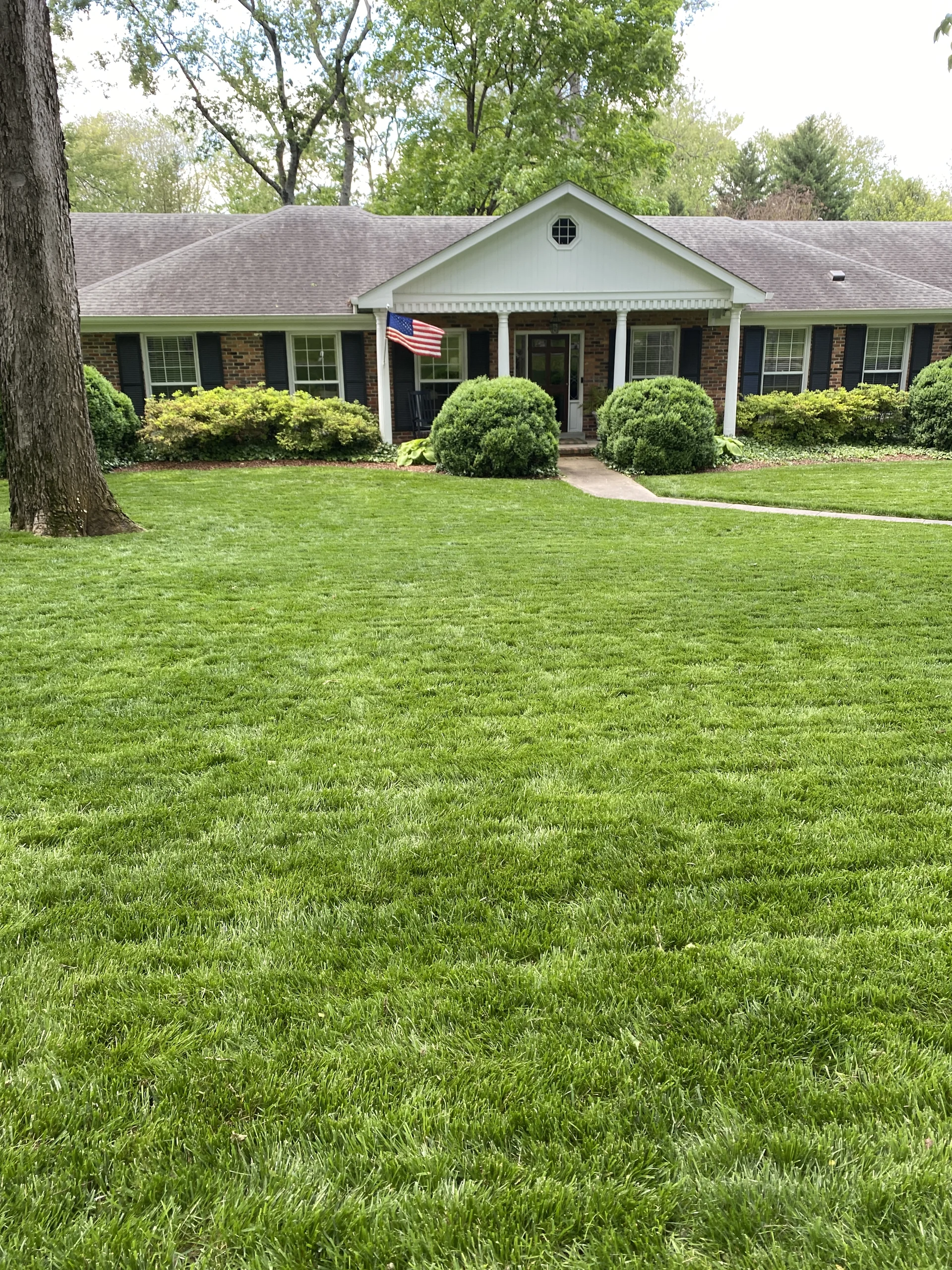 Beautiful Fescue Lawn in Belle Meade TN — Mr. Lawn Care, Middle Tennessee lawn treatment