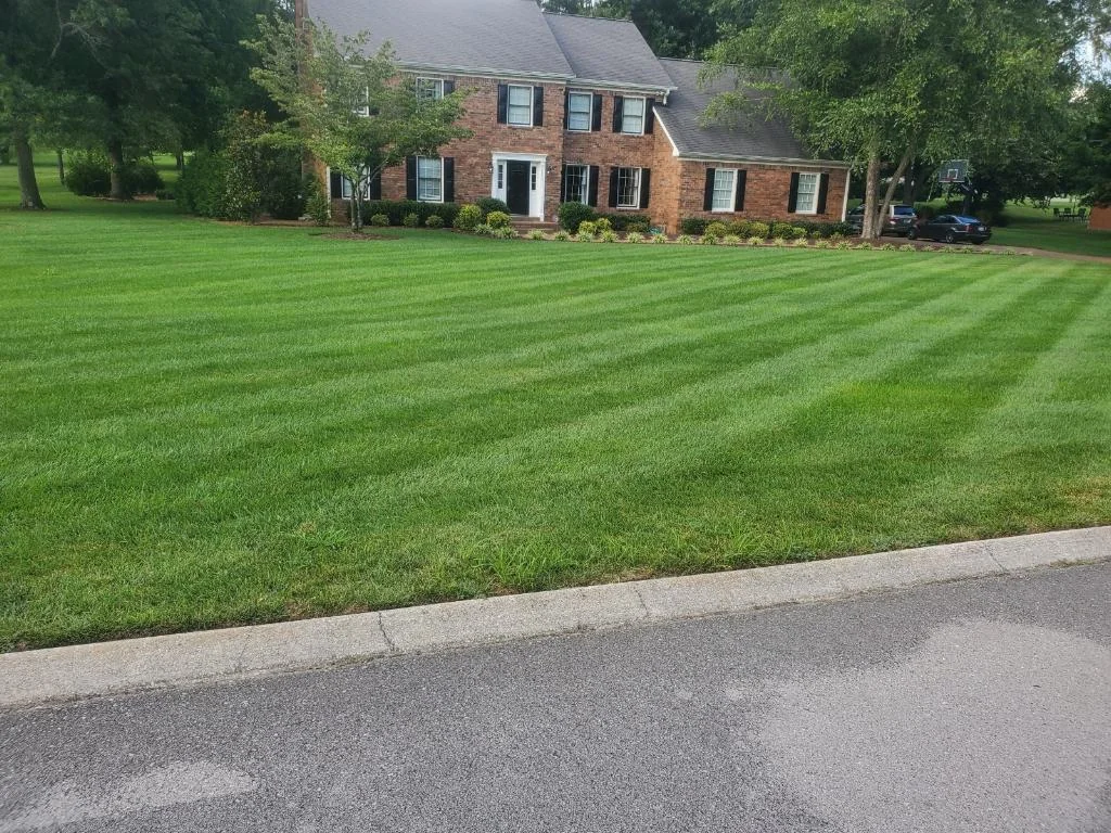 Beautiful Fescue Lawn This Stripes — Mr. Lawn Care, Middle Tennessee lawn treatment