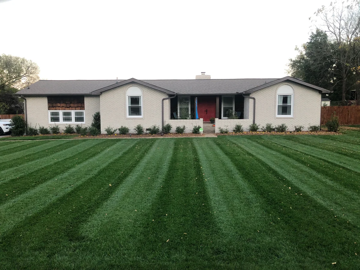 Dark Emerald Fescue Front Yard with Excellent Mowing Stripes — Mr. Lawn Care, Middle Tennessee lawn treatment