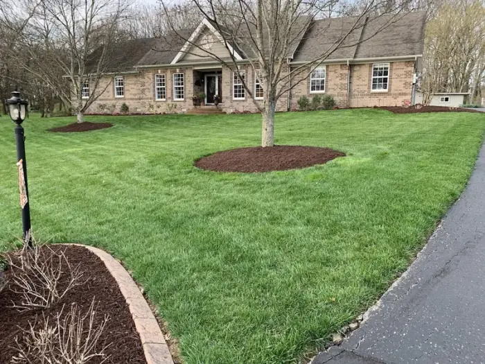 Spring Hill fescue lawn care with grass growing perfectly to hardscape edges
