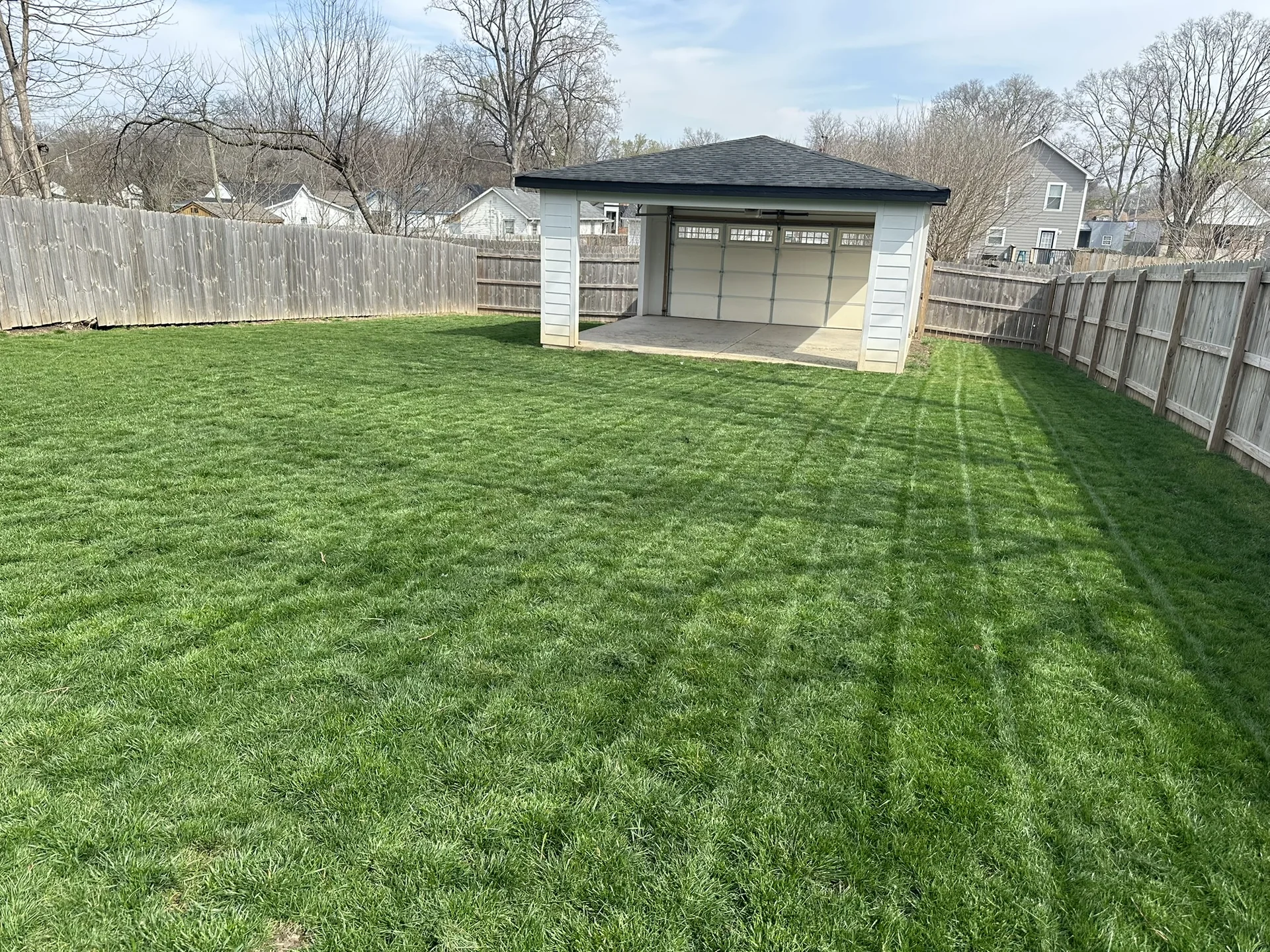 Thick striped fescue back yard after Mr. Lawn Care treatment