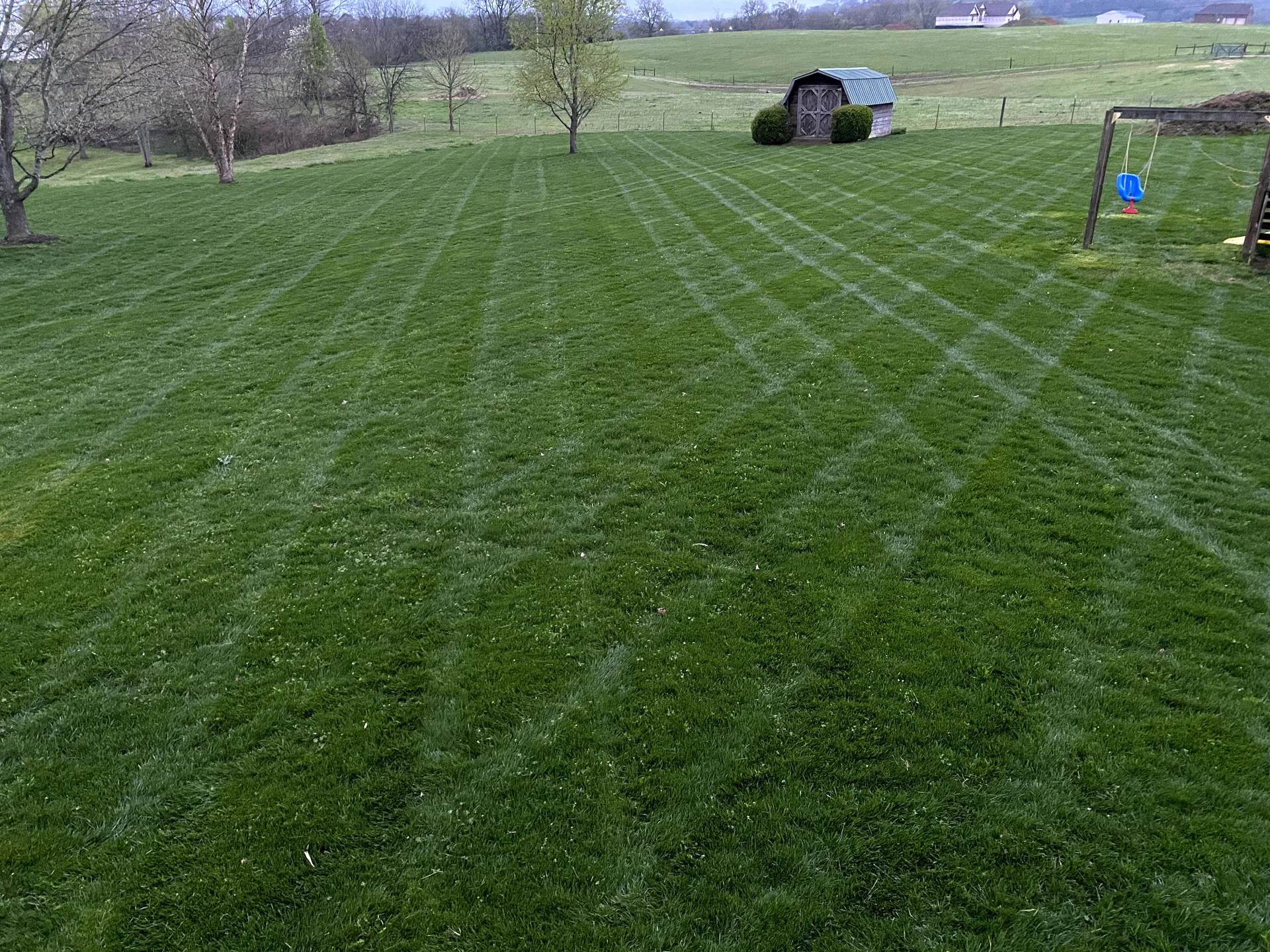 Healthy lawn after professional treatment by Mr. Lawn Care Middle Tennessee