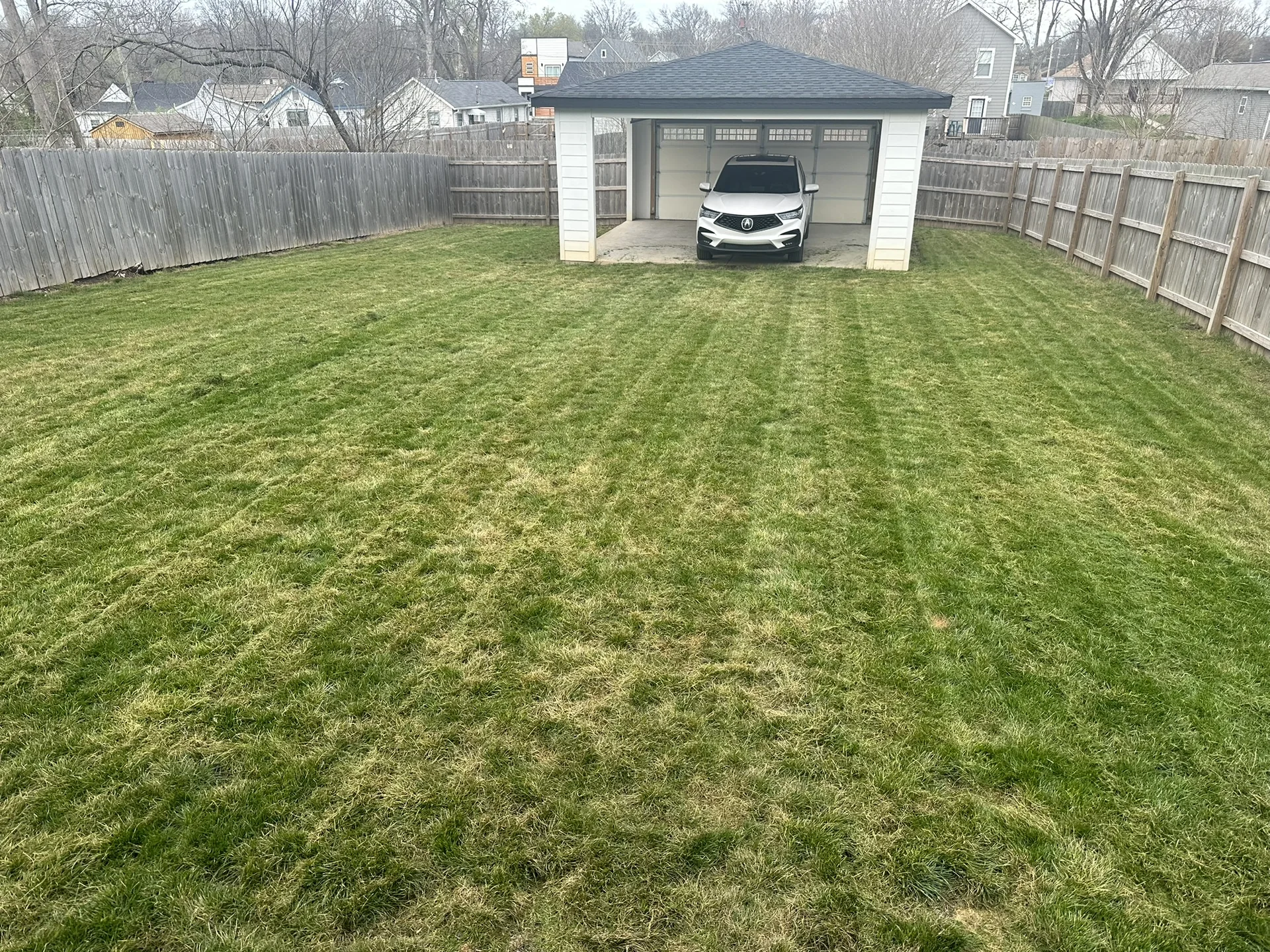 Patchy thin back yard fescue lawn before Mr. Lawn Care treatment