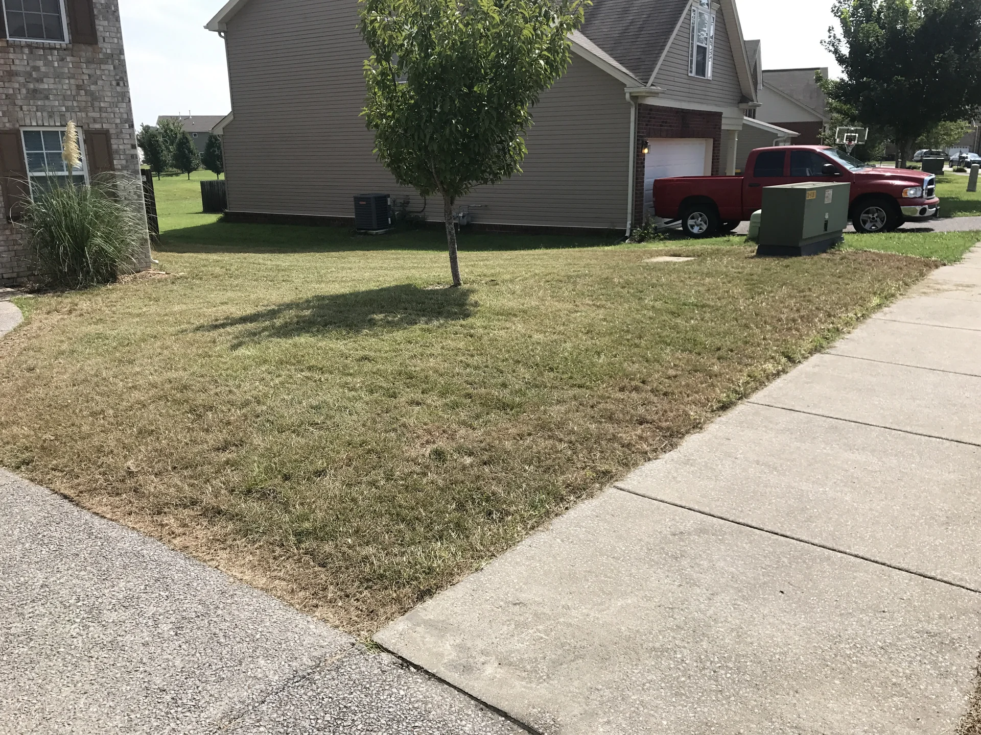 Spring Hill TN lawn before Mr. Lawn Care treatment — thin patchy fescue