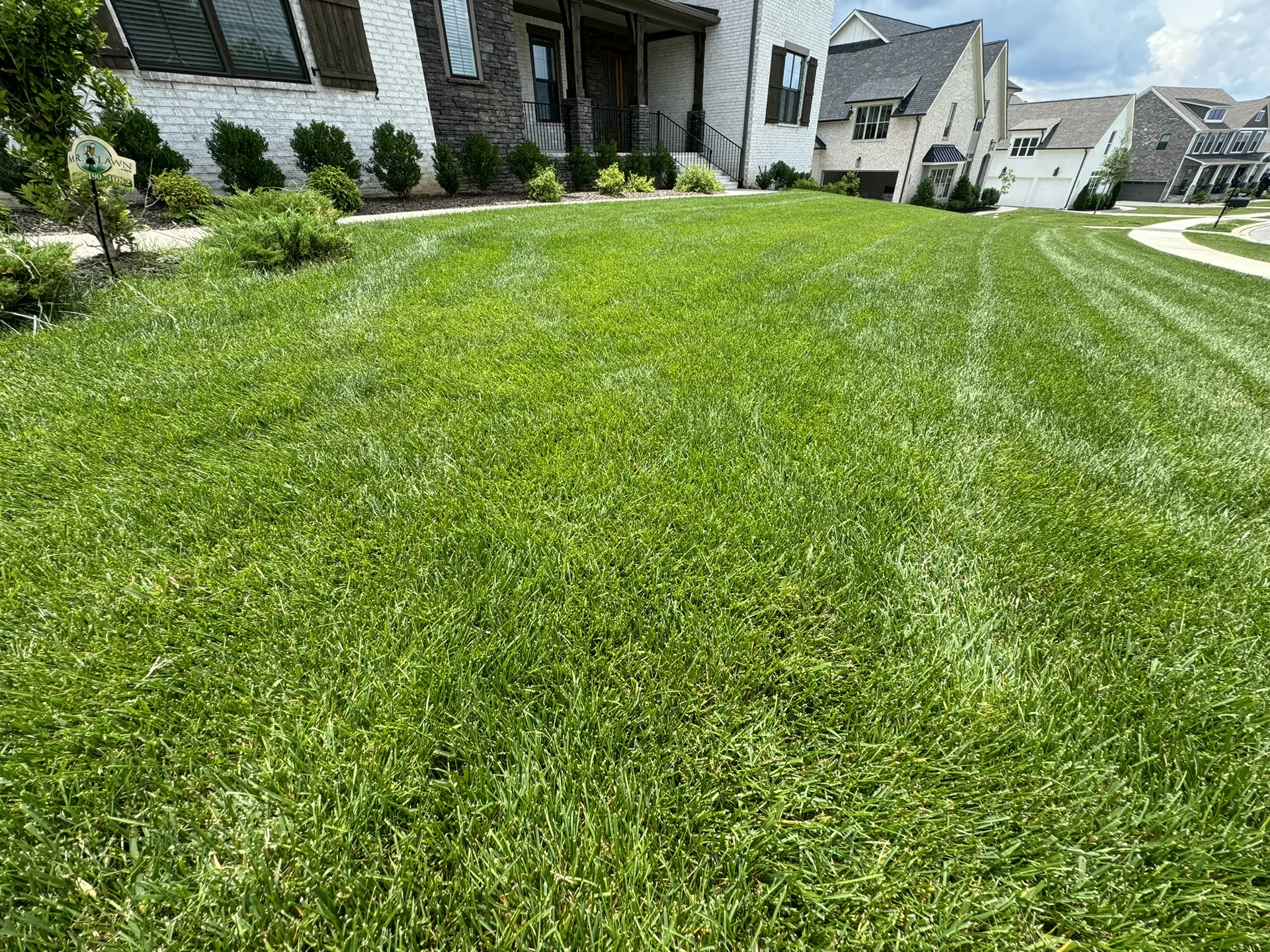 A Beautiful Fescue Lawn in Kings Chapel Neighborhood — Mr. Lawn Care, Middle Tennessee lawn treatment