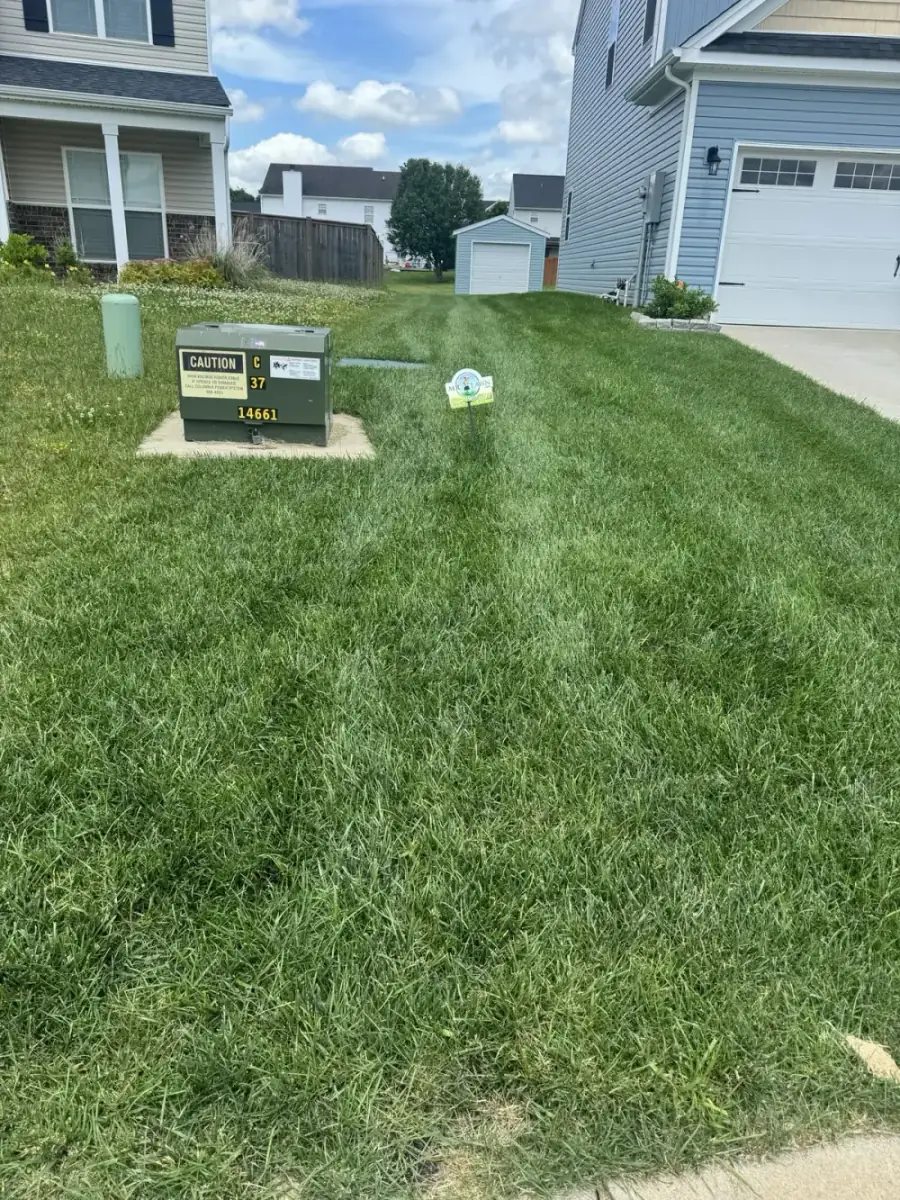 Mr. Lawn Care before and after lawn treatment results in Middle Tennessee