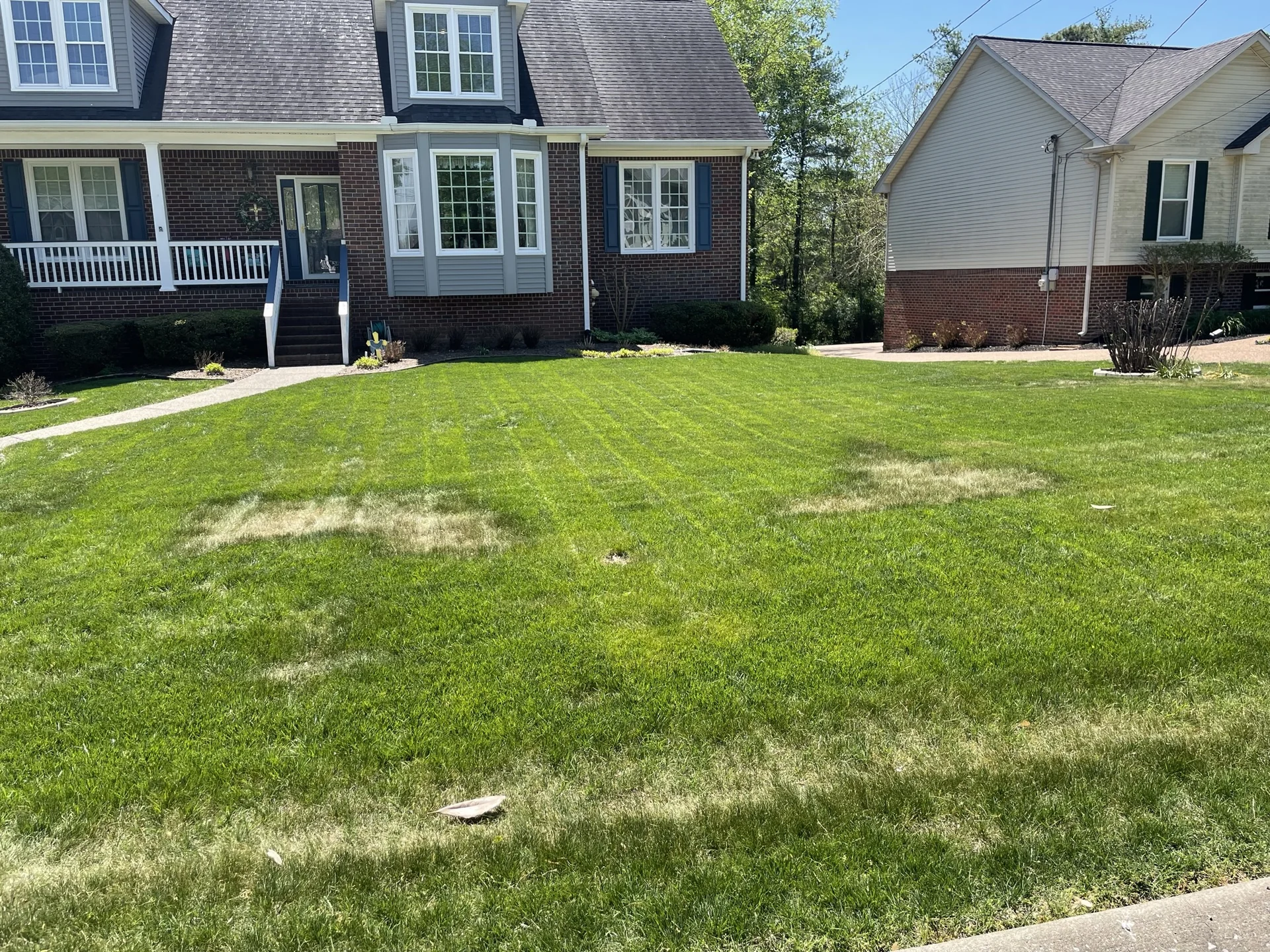 Drought Stress — photo 2