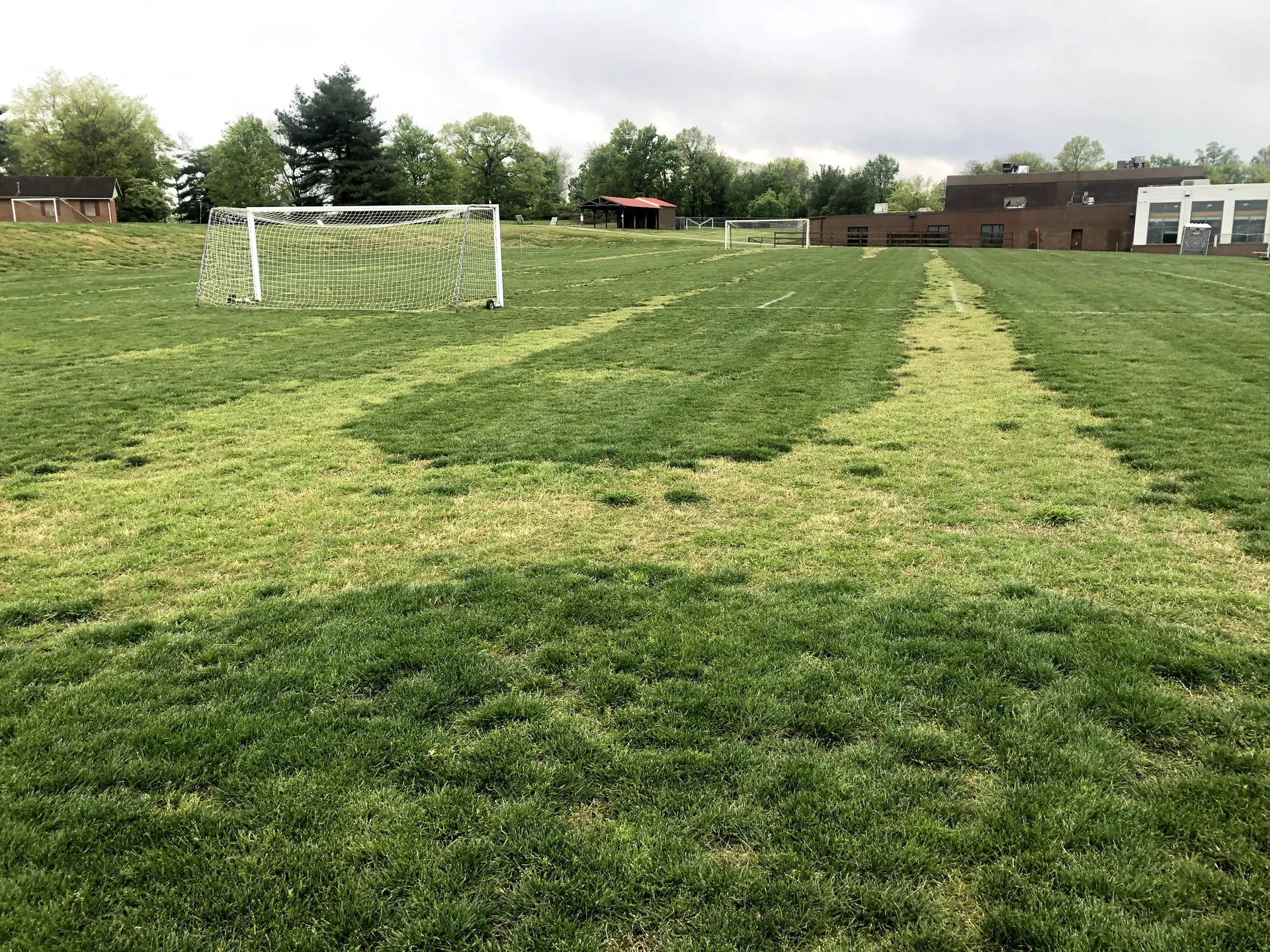 Real example of bad sprayer calibration killing grass in strips in a Middle Tennessee lawn