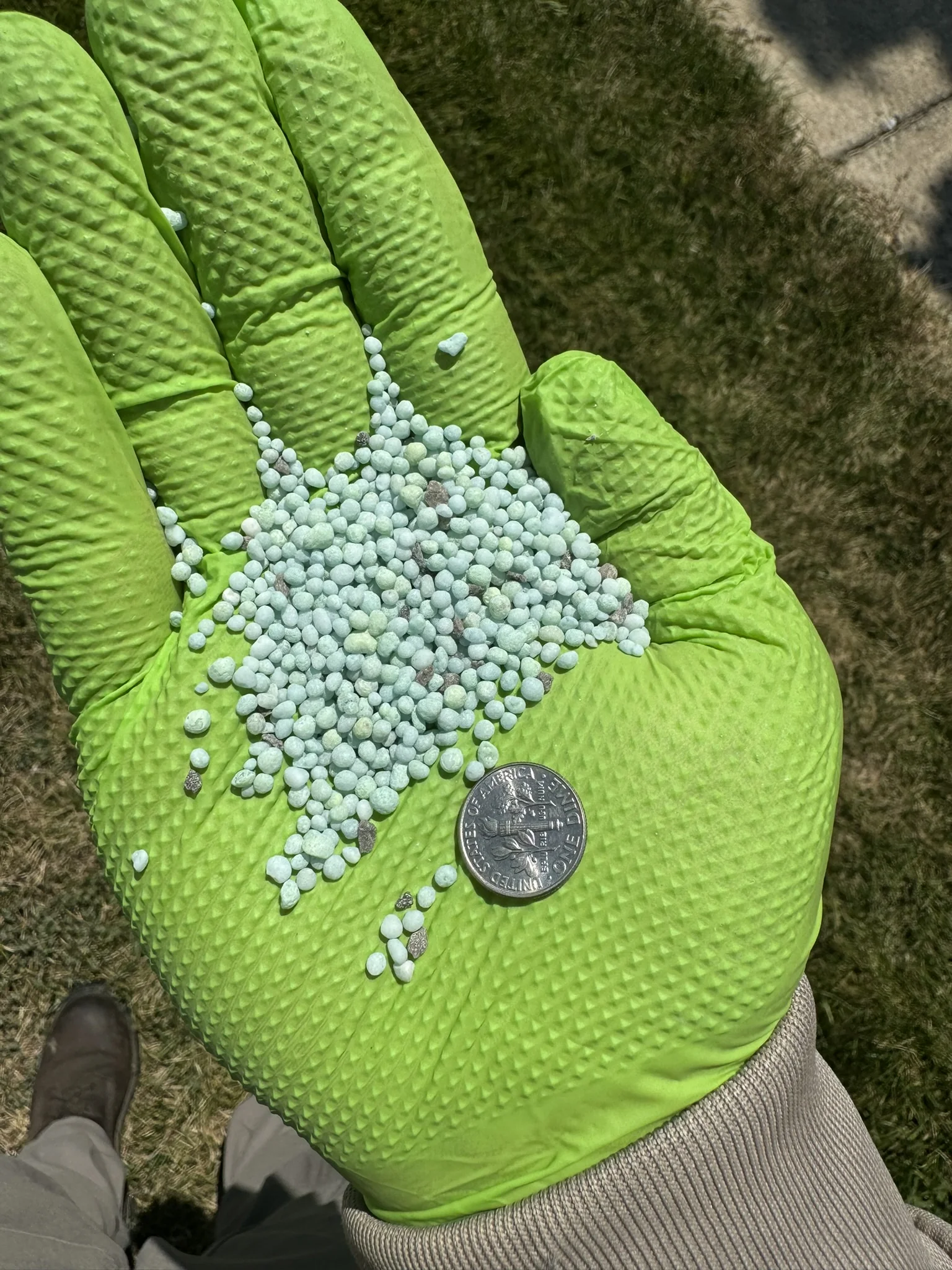 A Close up Image of Our Fertilizer in a Gloved Hand Dime for Scale — Mr. Lawn Care, Middle Tennessee lawn treatment