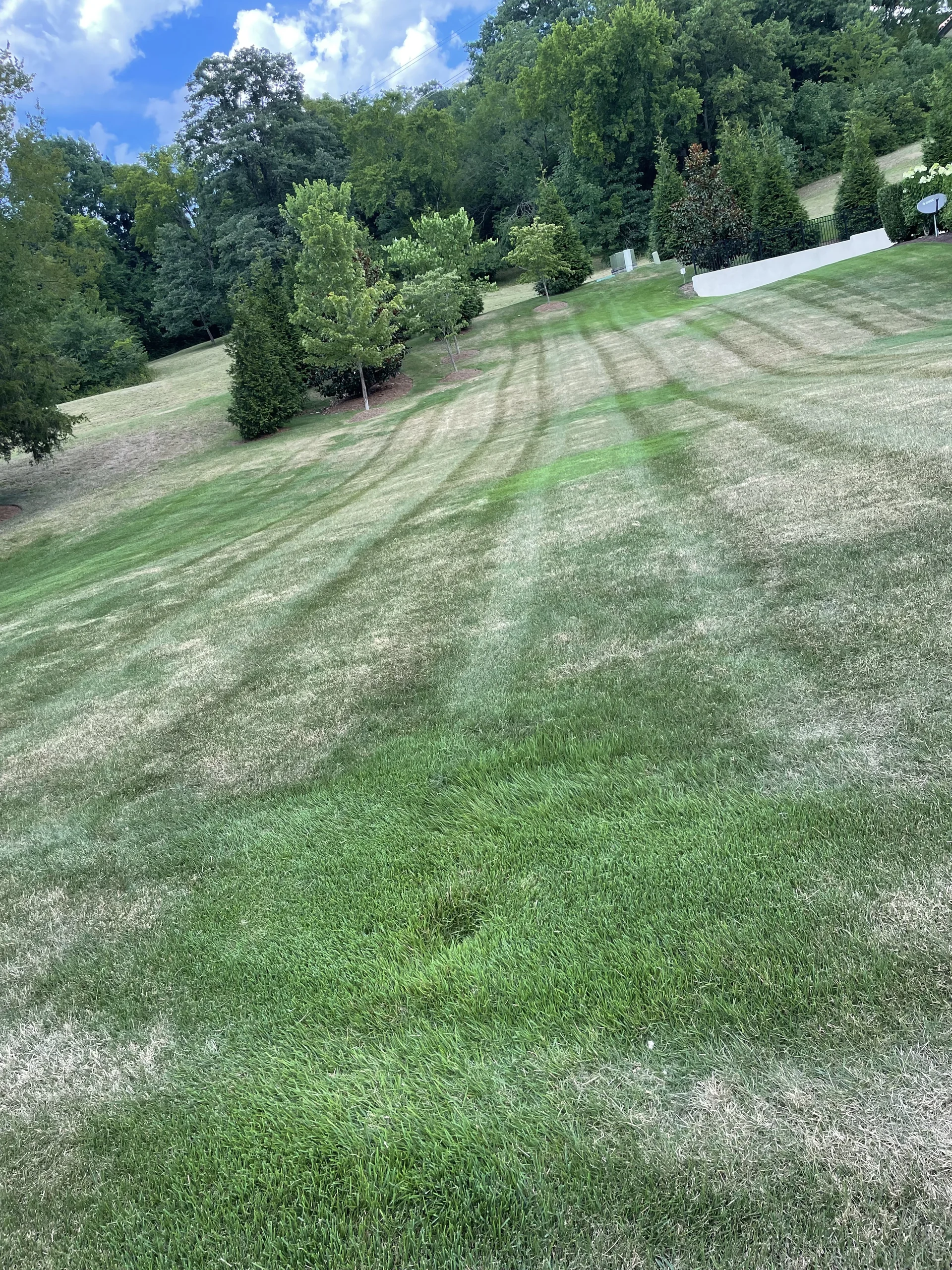 Second angle of sunken irrigation heads causing localized over-watering and dry patches in Middle Tennessee lawn