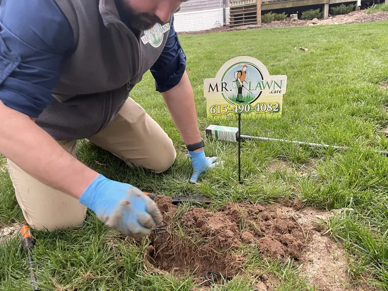 Professional mole trapping service by Mr. Lawn Care in Middle Tennessee