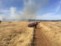 Thatch Buildup abiotic disorder in Middle Tennessee
