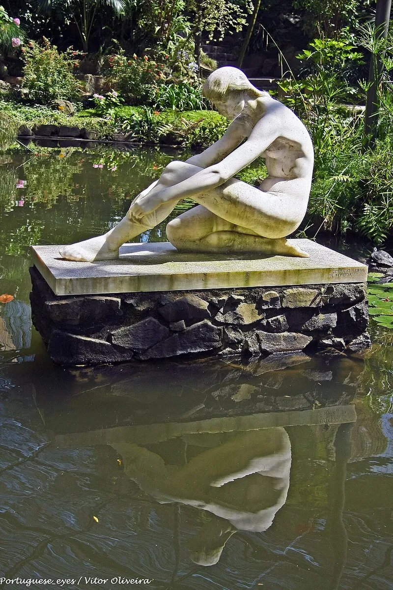 Camellia (Camellia spp.) in Middle Tennessee
